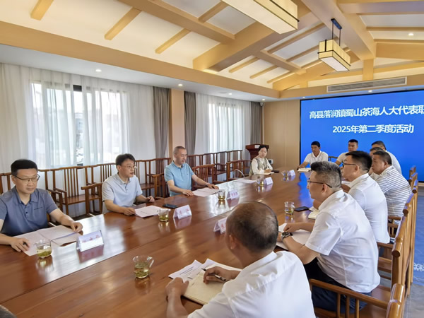 宜賓市人大信息技術咨詢服務的創(chuàng)新與實踐